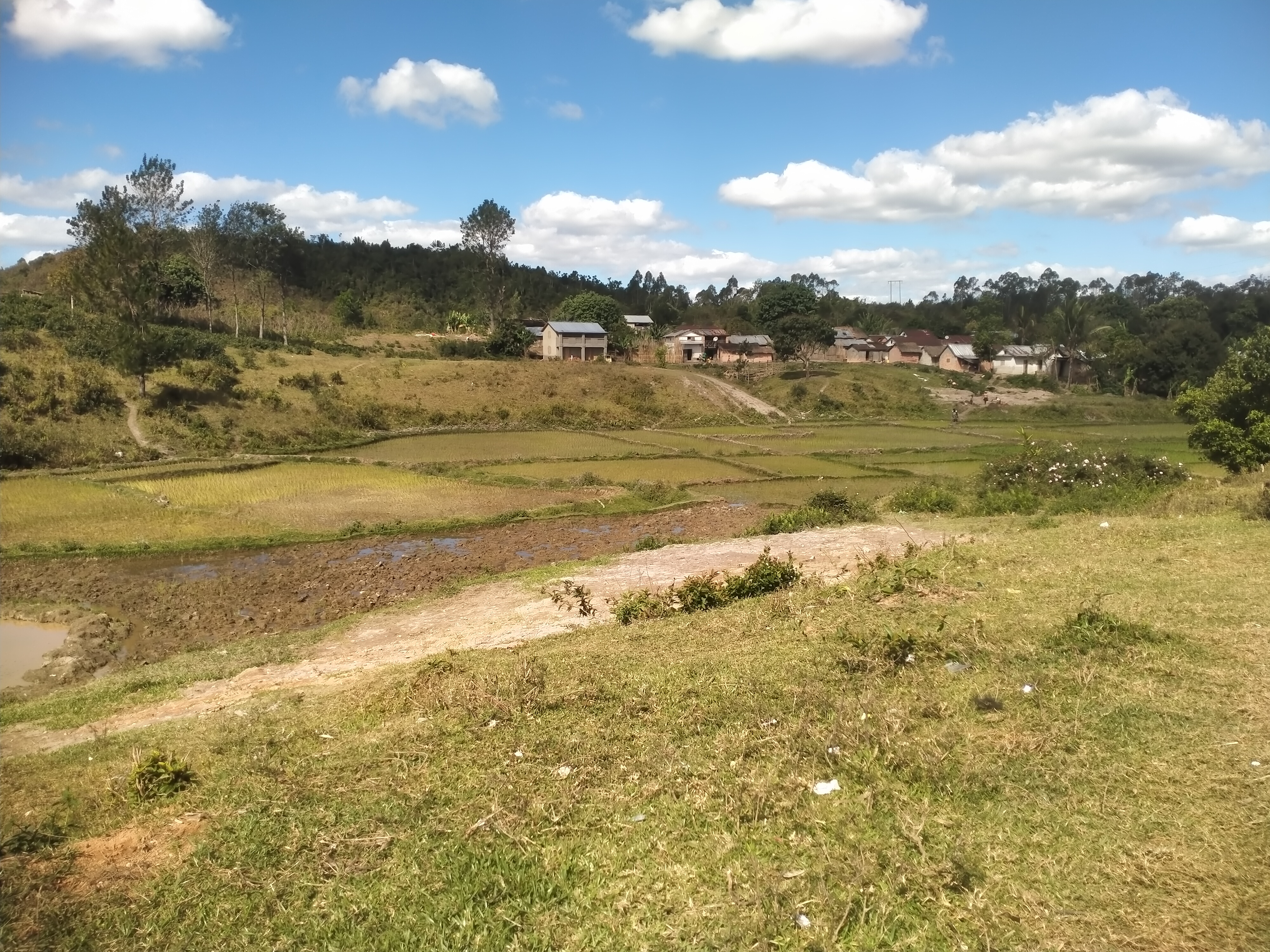 Natural landscape in the Ranomafana region